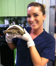 Emilee Mankins - Coast to Coast Cardiology - A veterinary service