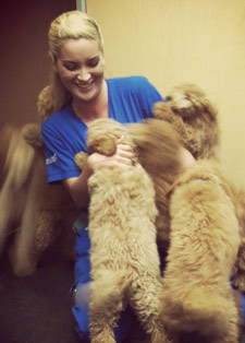 Emilee Mankins - Coast to Coast Cardiology - A veterinary service